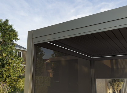 Motorized Roller Shades