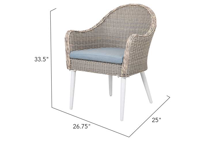 Allux Wicker Dining Chair - Set of 2