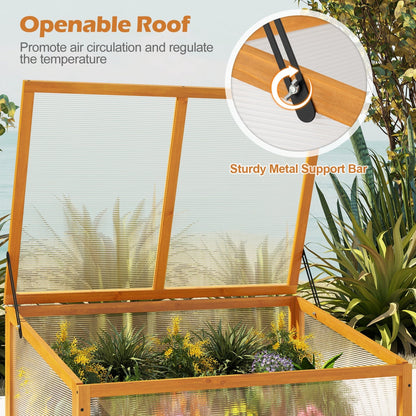 Wood Cold Frame Greenhouse – Fir Wood Raised Garden Bed Cover with Adjustable Polycarbonate Roof