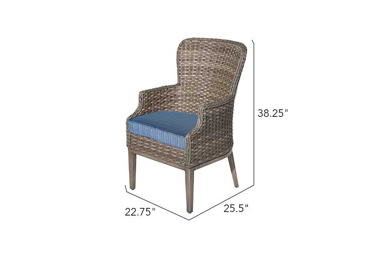 2 Tenaya Wicker Dining Chair - Set of 2